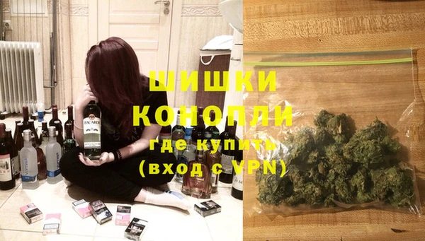 индика Бронницы