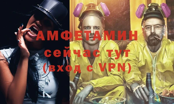 индика Бронницы