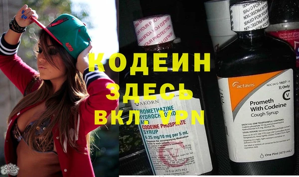 индика Бронницы