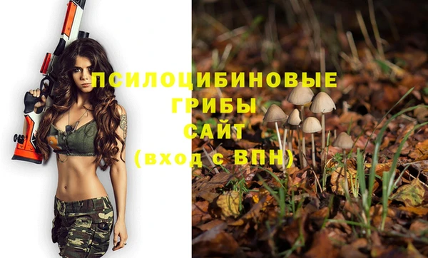 индика Бронницы