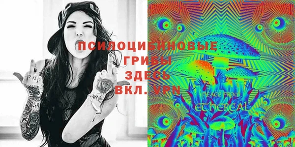 индика Бронницы
