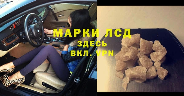 индика Бронницы