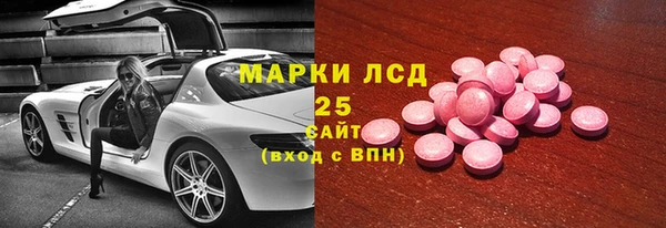 индика Бронницы